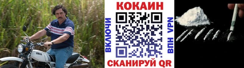 Cocaine FishScale  Ядрин 